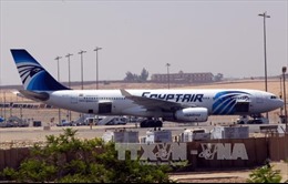 ICAO đánh giá cao các biện pháp đảm bảo an ninh hàng không tại Ai Cập 
